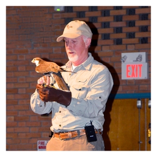 A Salthaven staff member holding Chaucar, a Lagger Falcon.